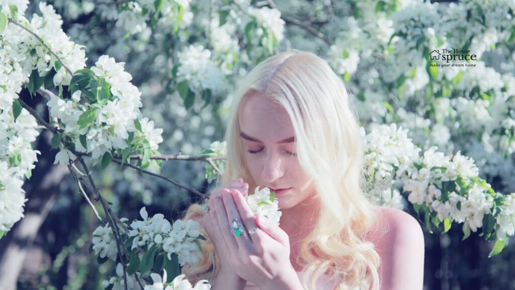 How to Care for the Philodendron White Princess