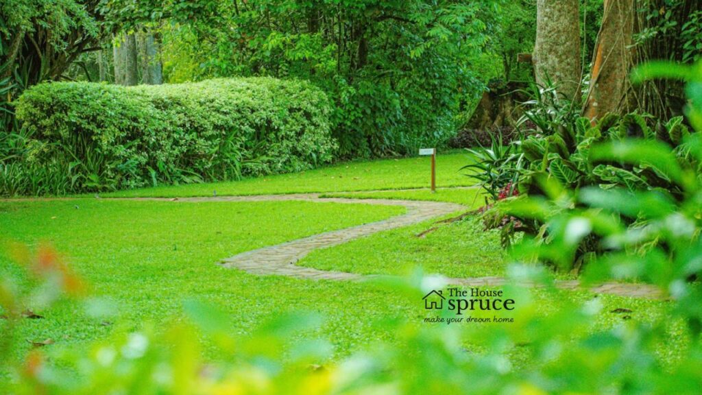 Tips to Maximize Your Landscaping Experience