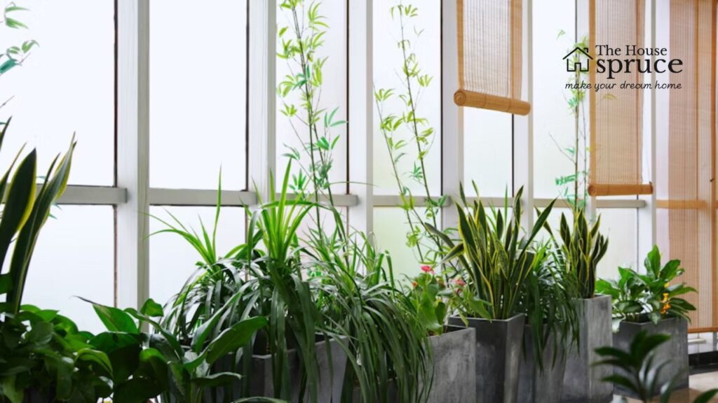 What Is Interior Plantscaping Design