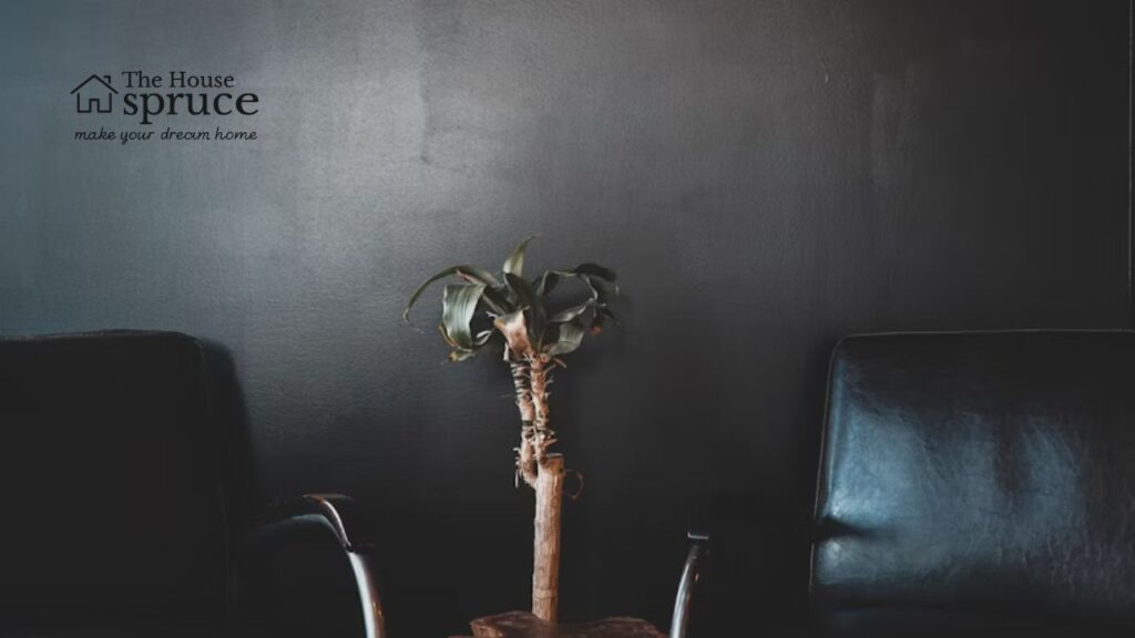 What Categories Does DecoratorAdvice.com Offer